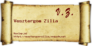 Vesztergom Zilia névjegykártya